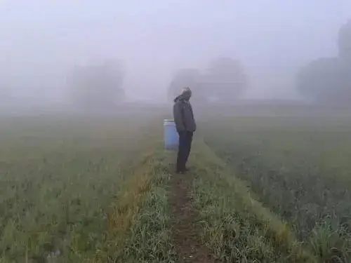 Пан Нонг Тхум: Nana Organic Farm