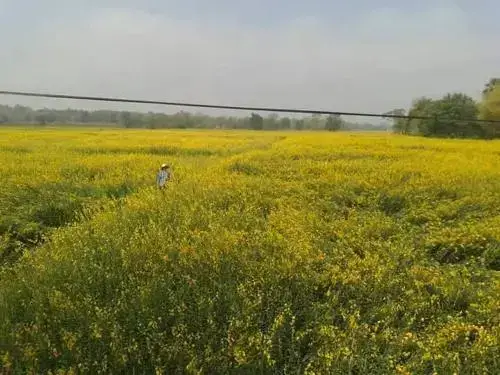 Пан Нонг Тхум: Nana Organic Farm