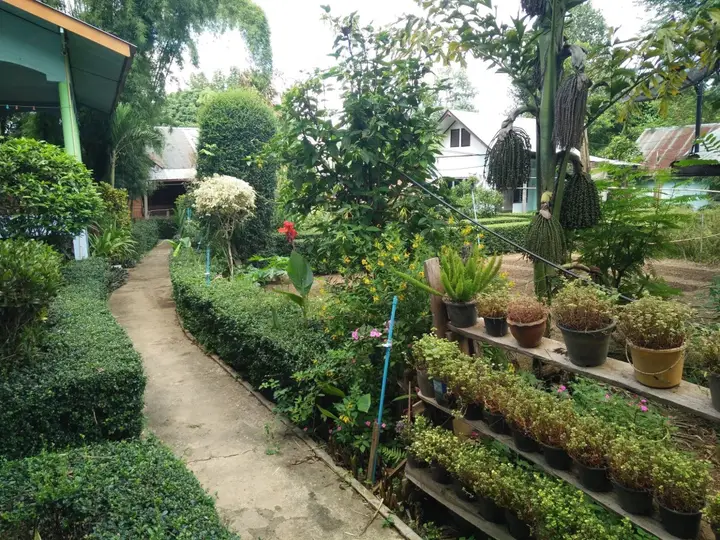 Паи: Mr Jan Guest House