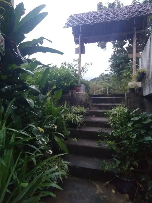 Паи: Honey Homestay