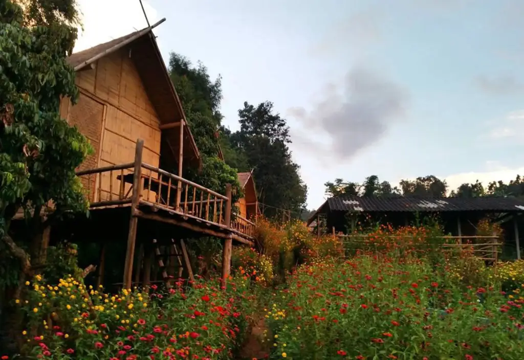 Чианг Дао: Baan AingDoi Homestay