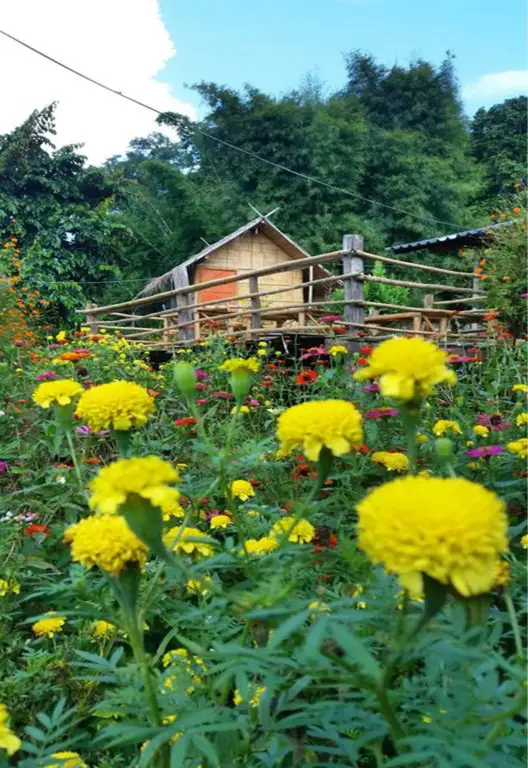 Чианг Дао: Baan AingDoi Homestay