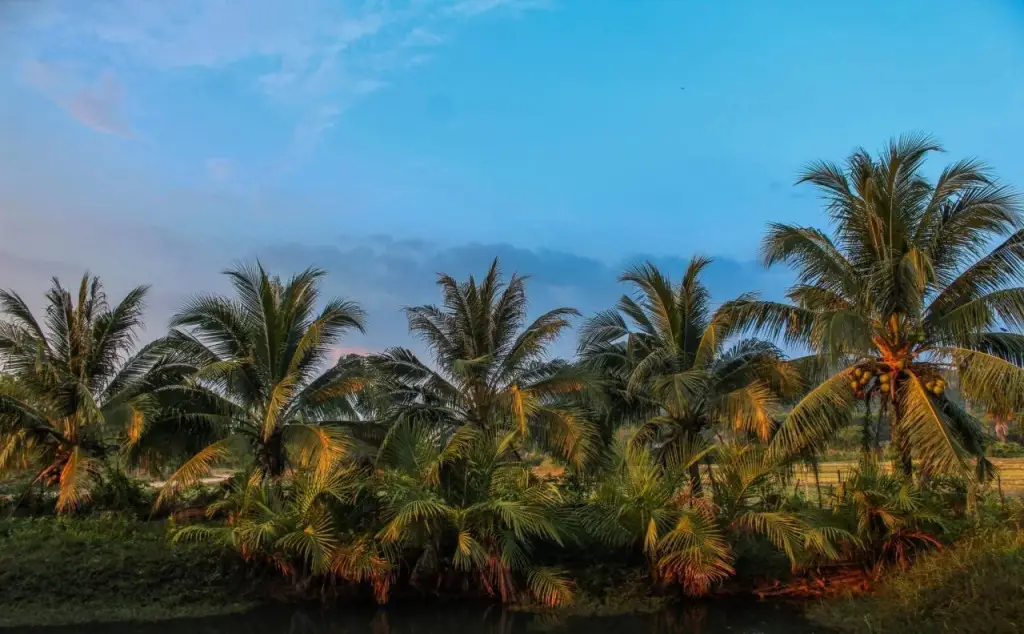 Яо Ной: The Simple Koh Yao Noi