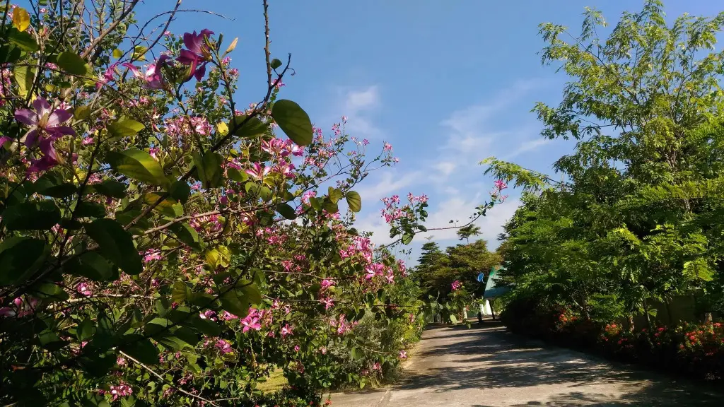 Кхонкэн: Chuanchom Resort Phuwiang