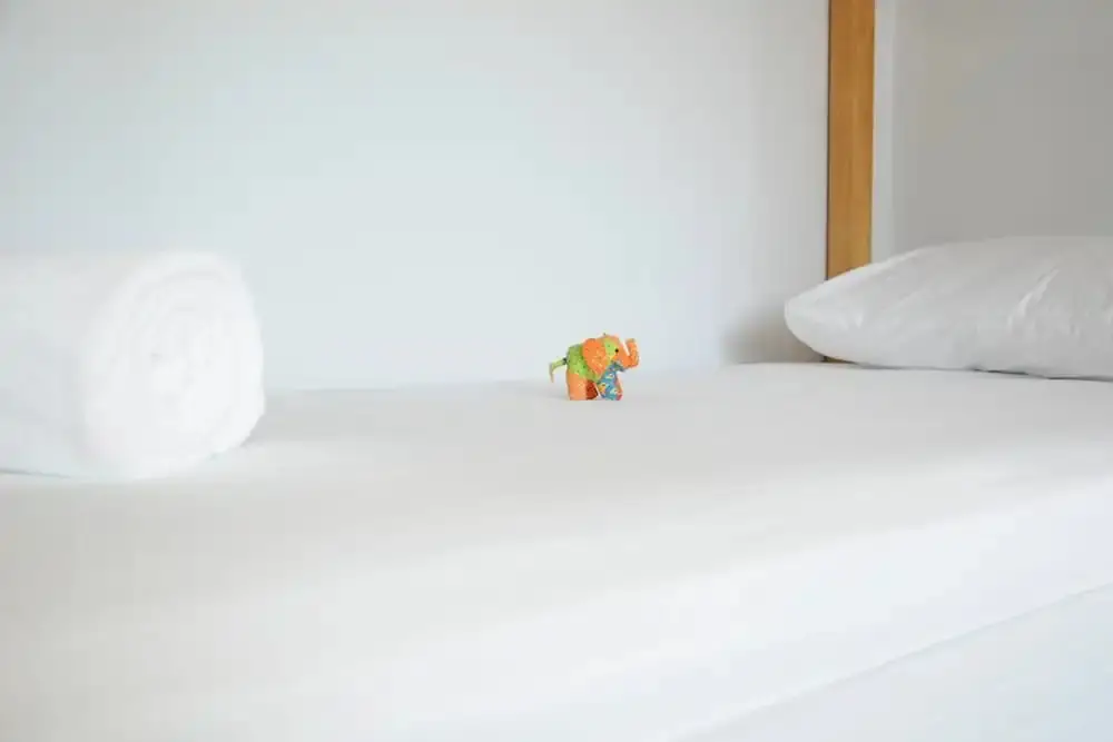 Самуи: D.Samui Hostel