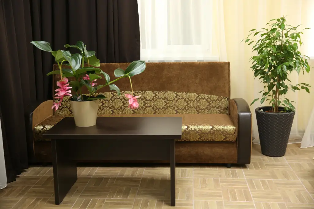 Железноводск: Отель Green House