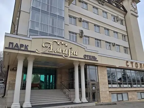 Отель Амира Парк — фото 1