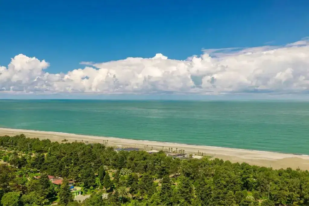 Батуми: Sheraton Batumi Hotel