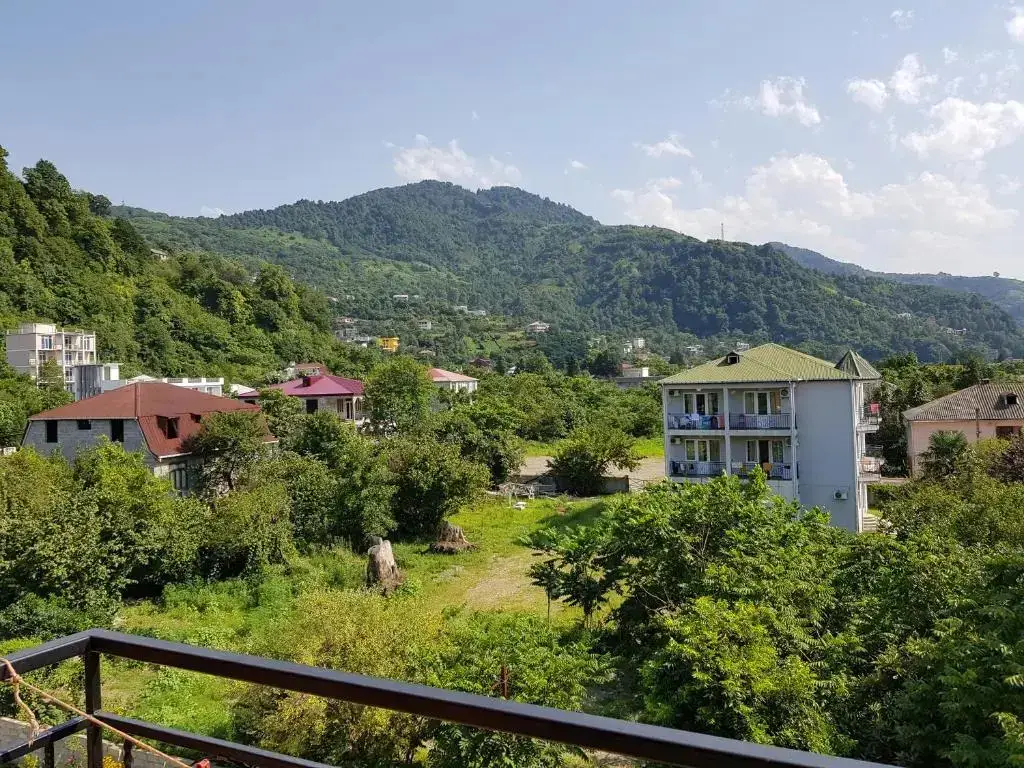 Батуми: Vizitori Hotel