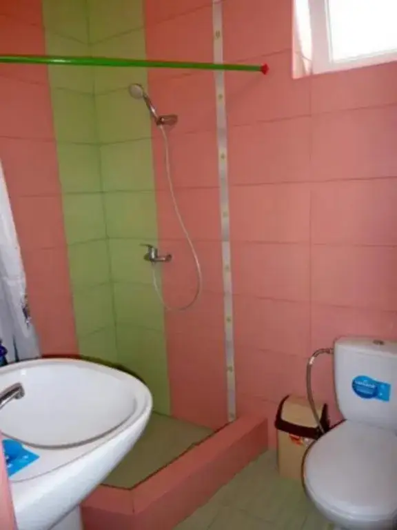 Заозерное: Odesskaya Gavan Guest House