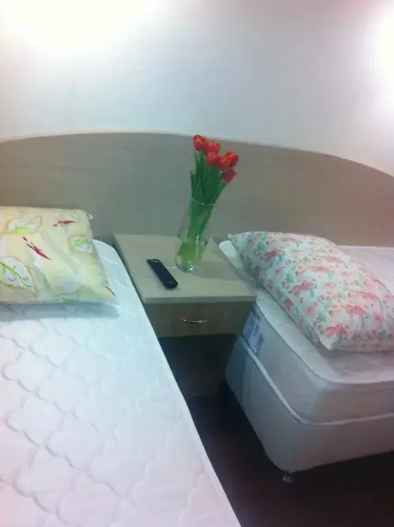 Gorki: Ostrov Hotel