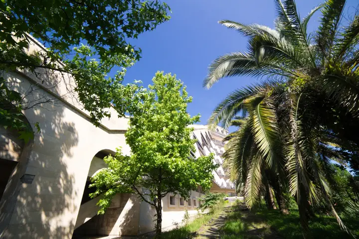 Гагра: Sana Sanatorium