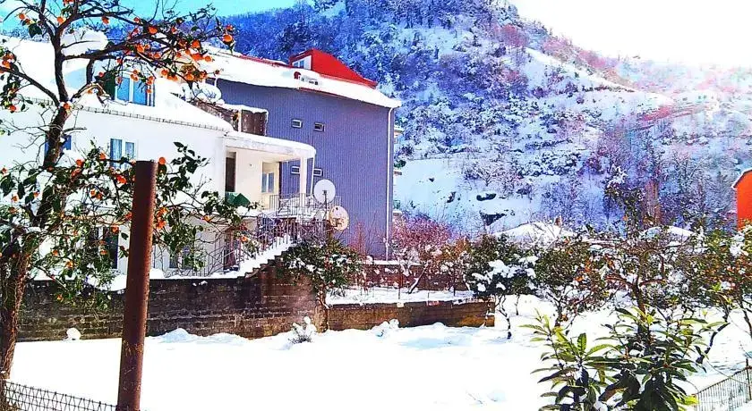 Батуми: Gonio-Kvariati Hotel