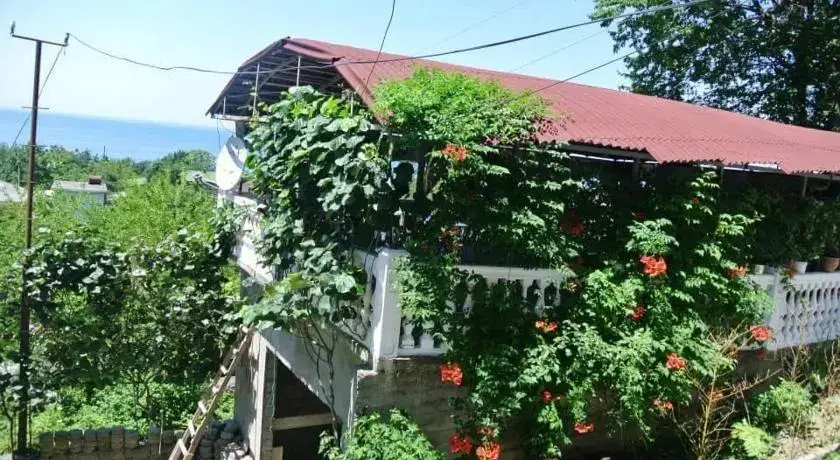 Батуми: Hotel Badu
