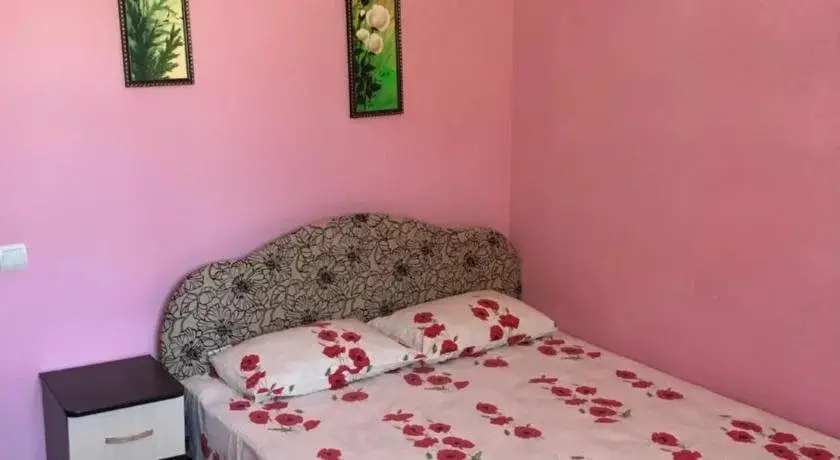 Тенгинское сельское поселение: Guest House Alina