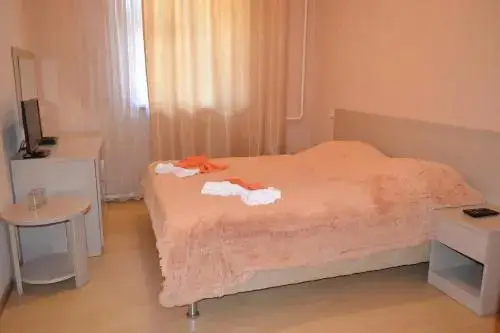 Сочи: Ozet Guest House