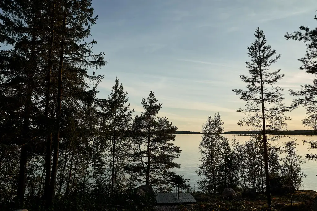 Питкяранта: Гостевой дом Dream House in Karelia