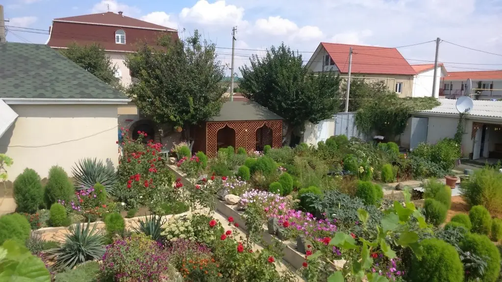 Кача: Diliya Guest House