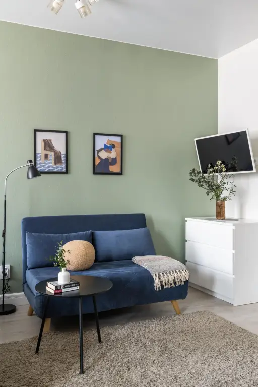 Адлер: Квартира Сканди-студия Piter Apartments у метро Фрунзенская