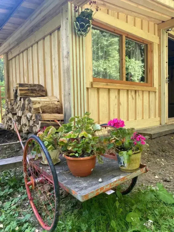 Звенигород: Глэмпинг под Звенигородом