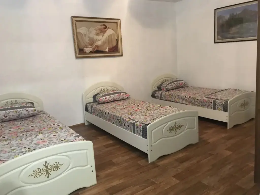 Malyy Gotsatl': Гостевой дом Родное гнездо