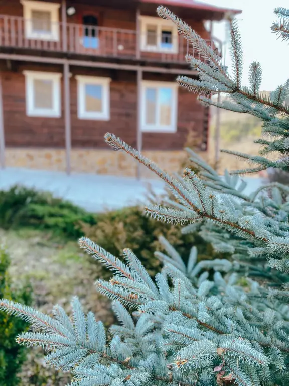 Кисловодск: Отель Олимпия