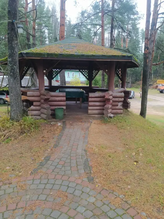 Токсово: Динамо