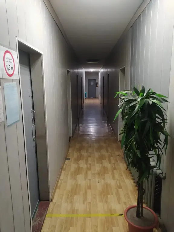 Токсово: Динамо