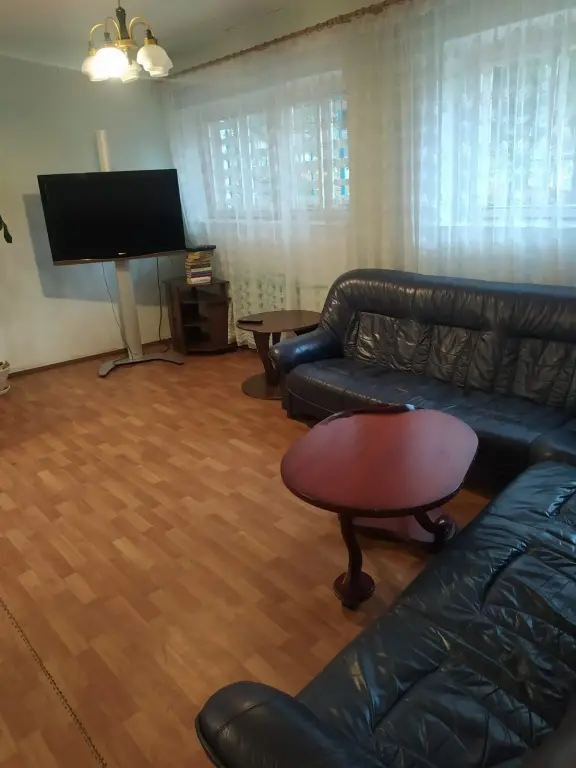 Токсово: Динамо