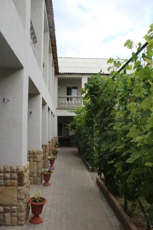 Кача: Solnechnaya Orkhideya Guest house