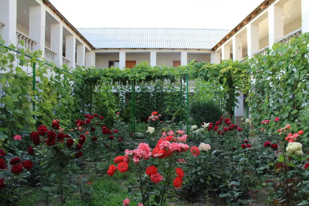 Solnechnaya Orkhideya Guest house — фото 1