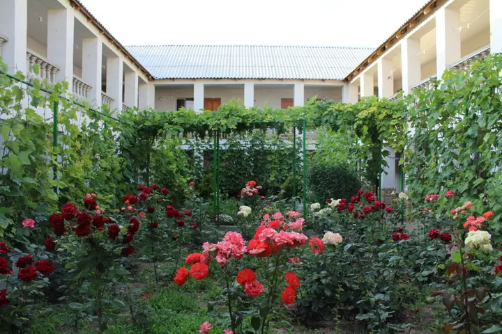 Кача: Solnechnaya Orkhideya Guest house