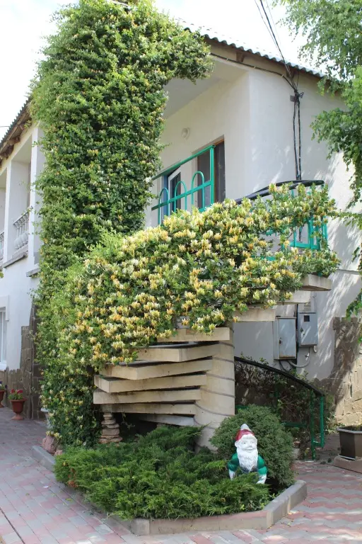Кача: Solnechnaya Orkhideya Guest house
