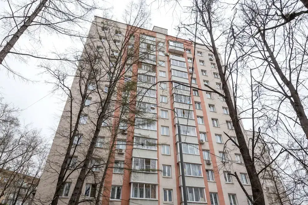 Студия, Донской — фото 1
