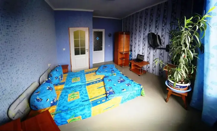 Судак: Kameliya
