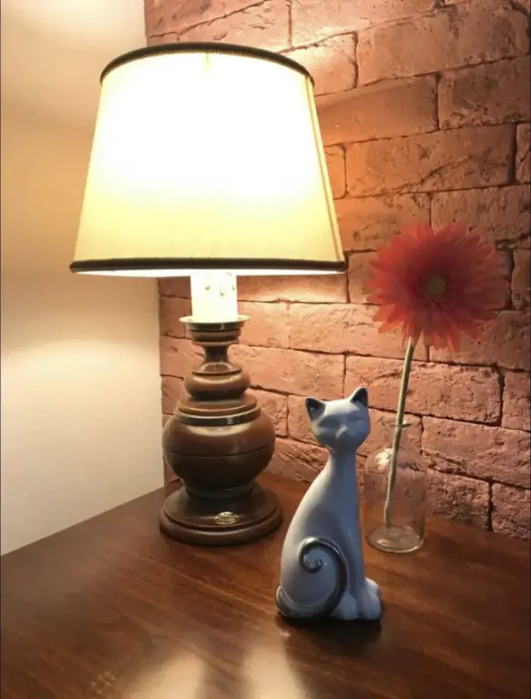 Калининград: Апартаменты White cat