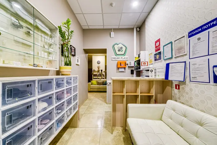 Москва: Хостел Dream Place