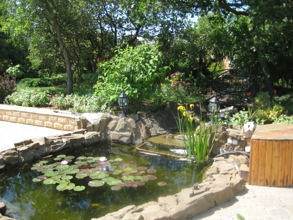Севастополь: Vladisvet Guest House