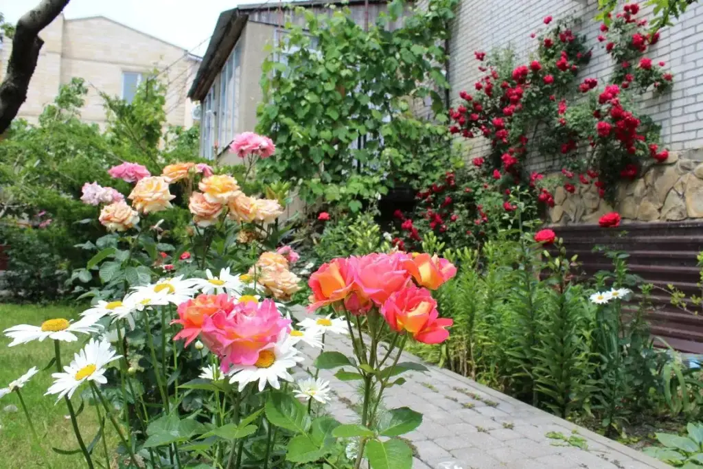 Геленджик: Nezabudka Guest House