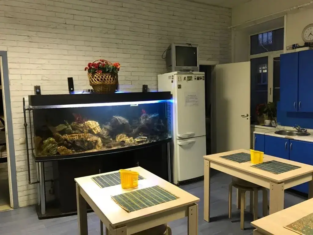 Москва: Hostel Gnezdo Sokol