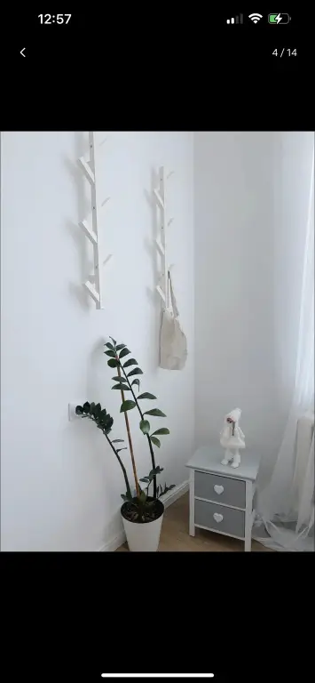 Sukhaparina: Svetlie V Tsentre Pitera Apartments
