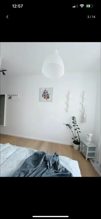 Sukhaparina: Svetlie V Tsentre Pitera Apartments