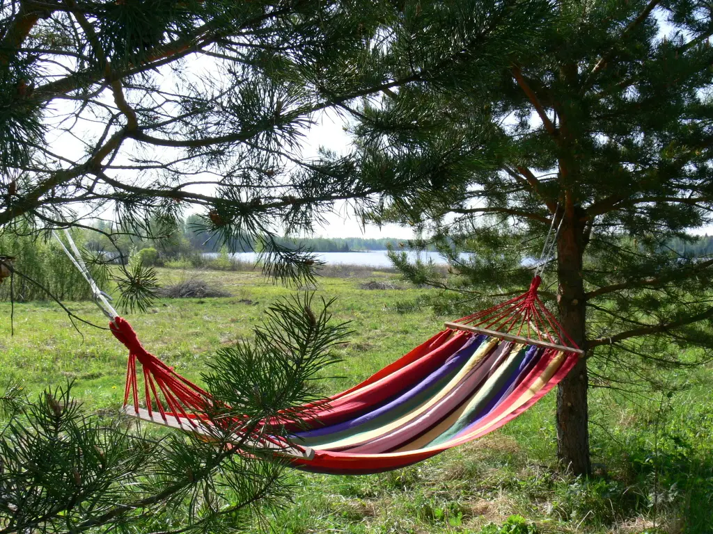 Maloye Ukleyno: Кемпинг International Camp club Bereg Best Beach Stylish Coastline Ukleyno Lake National Park Valdai
