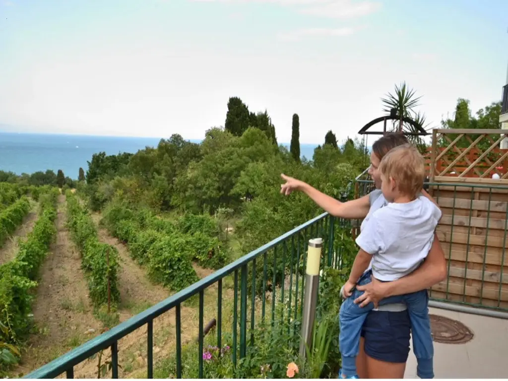 Алушта: Selena Guest House