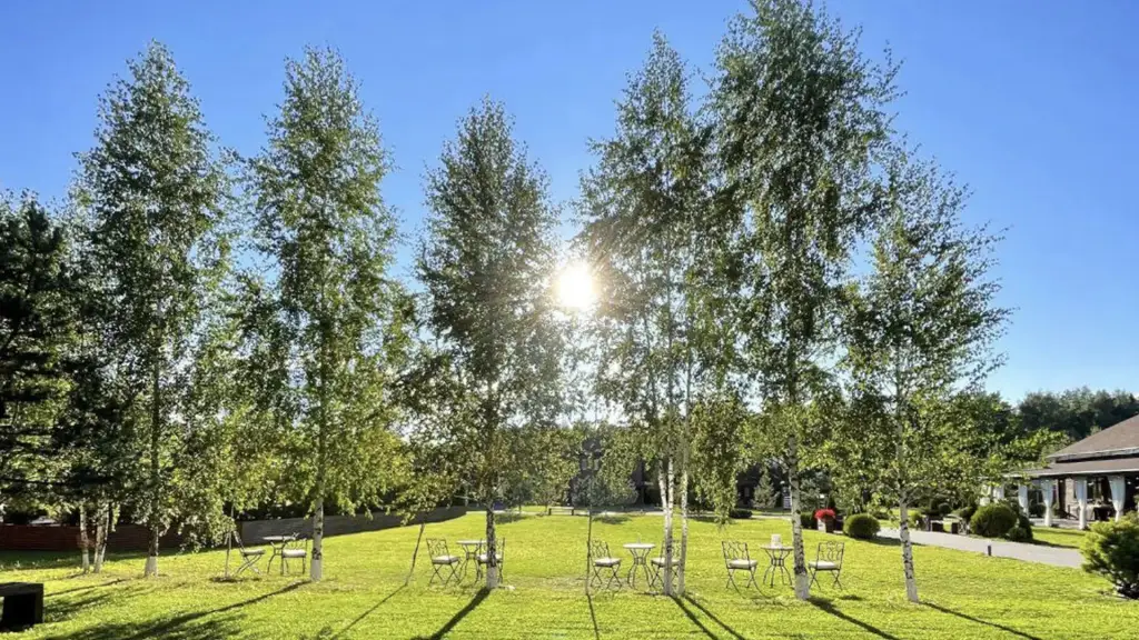 Химки: Загородный комплекс Art Village Club