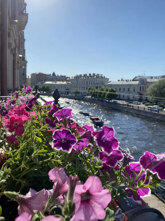 Санкт-Петербург: Соло на набережной реки Мойки 82