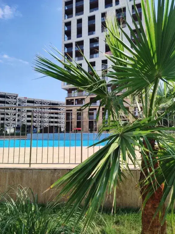 Сочи: Studya 62 V Zk Alleya Park Flat