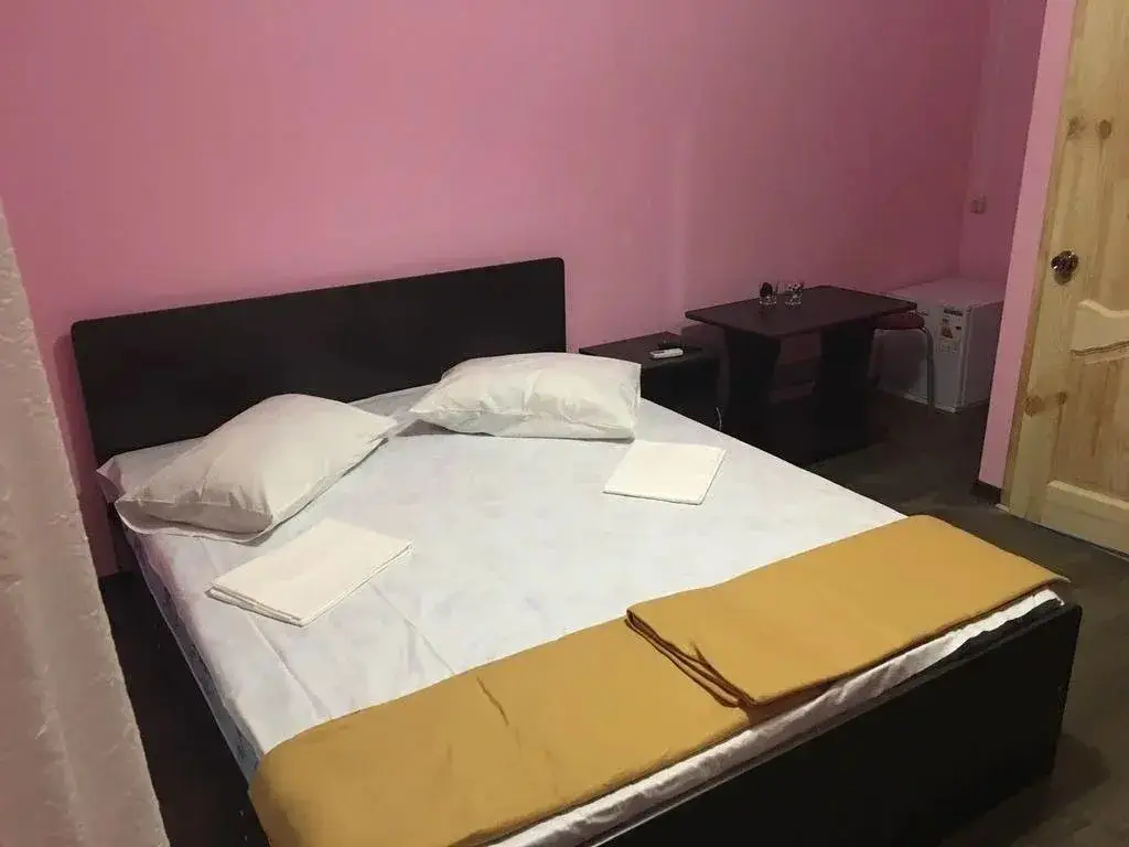 Лдзаа: Patrisiya Mini-Hotel