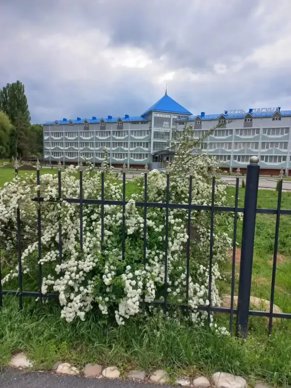 Кисловодск: Отель Лагуна