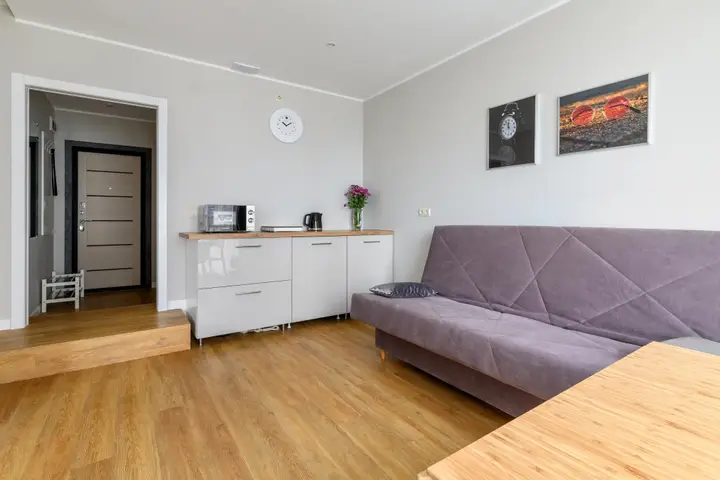 Санкт-Петербург: Rental SPb Apartaments Kremenchugskaya 9